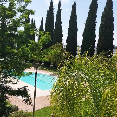 Radici24 Battipaglia